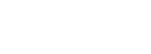 Lingolit